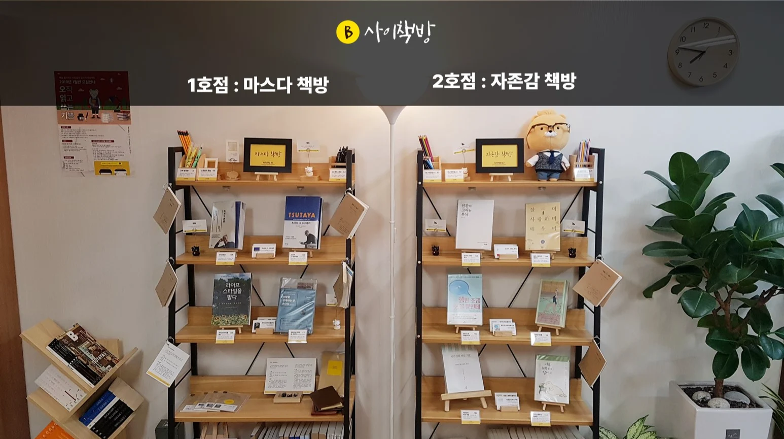 2018년 디자인 사무실 벽면의 두 책장으로 시작한 사이책방